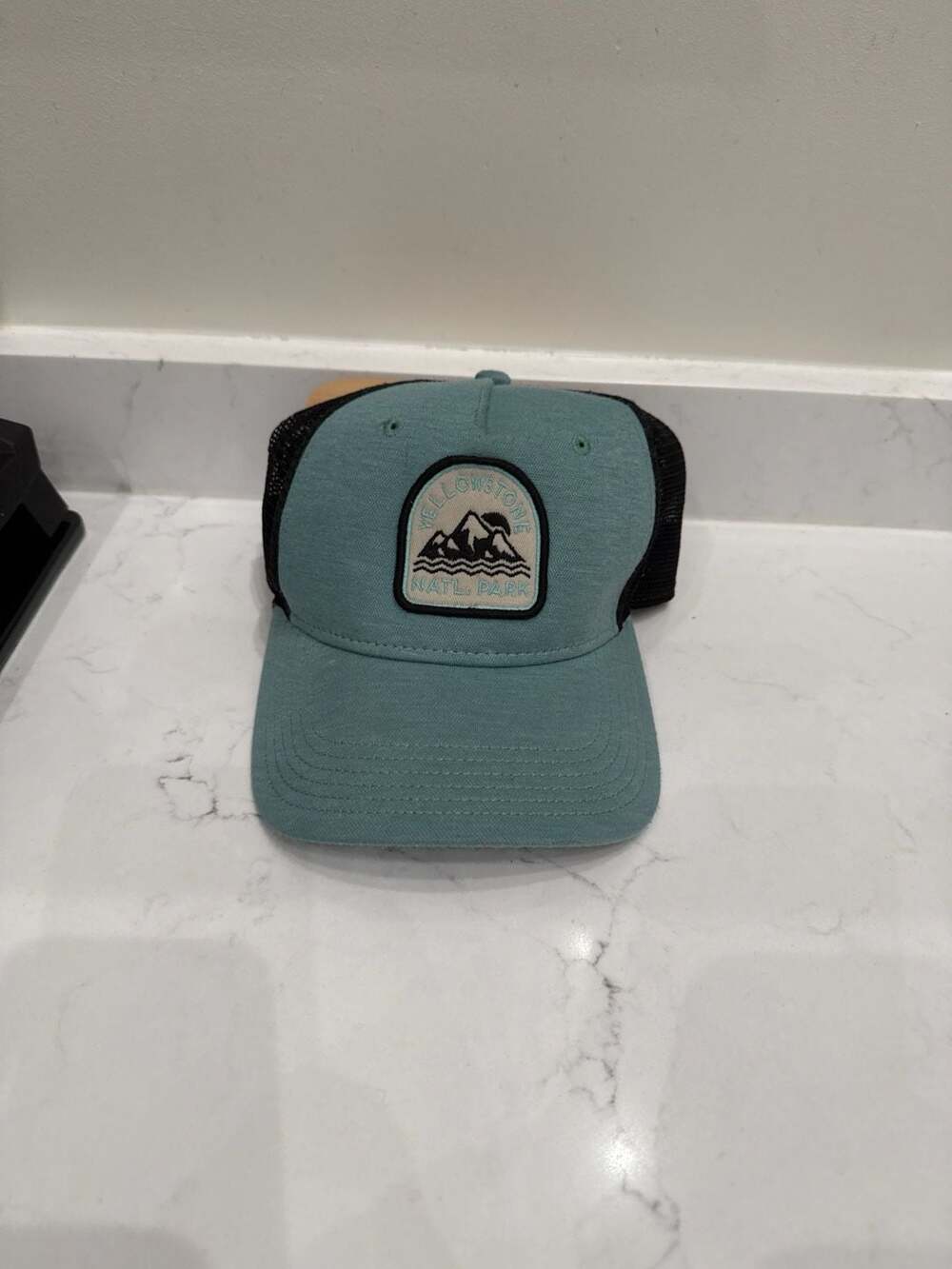 Yellowstone National Park Mountain Patch Snapback Trucker Hat Teal/Black